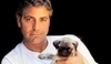 George Clooney, čerstvý držitel titulu Nejvíce sexy muž planety.