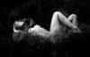 Obrázek ženy ležící v trávě