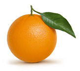 Obrázek pomeranče