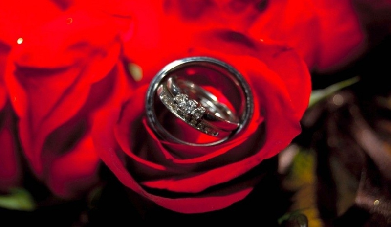 Fotografie snubních prstenů na červené růži