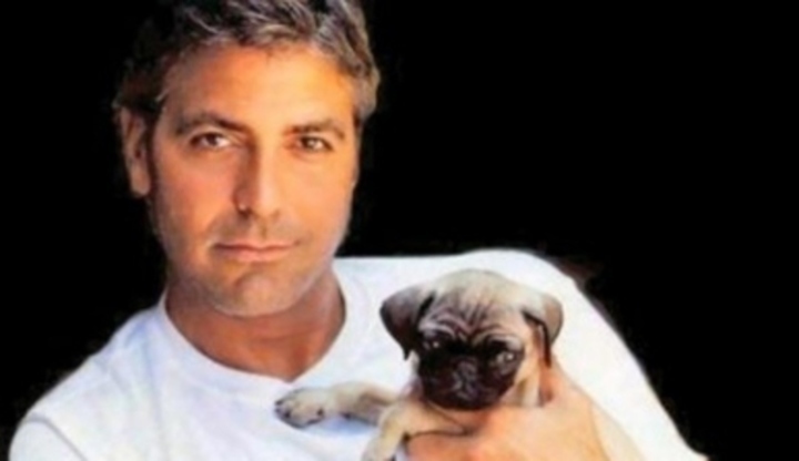 Herec George Cloony na fotografii se psem
