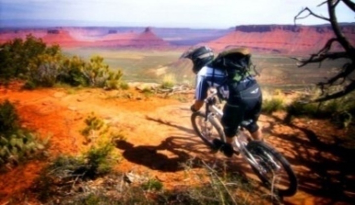 Fotografie zachycující cyklistu na kole projíždějící přírodou