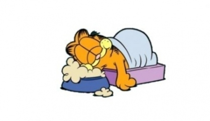 Obrázek kresleného kocoura Garfielda