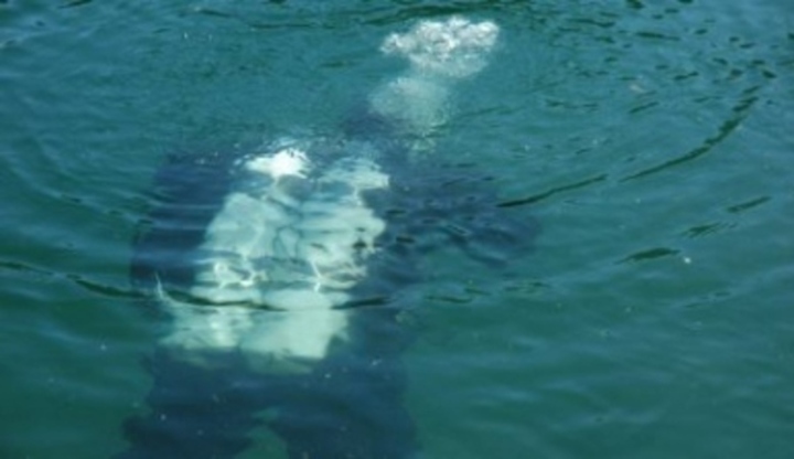 Fotografie potápěče pod vodou