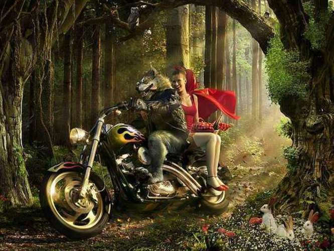 Fotografie motorky, projíždějící lesem