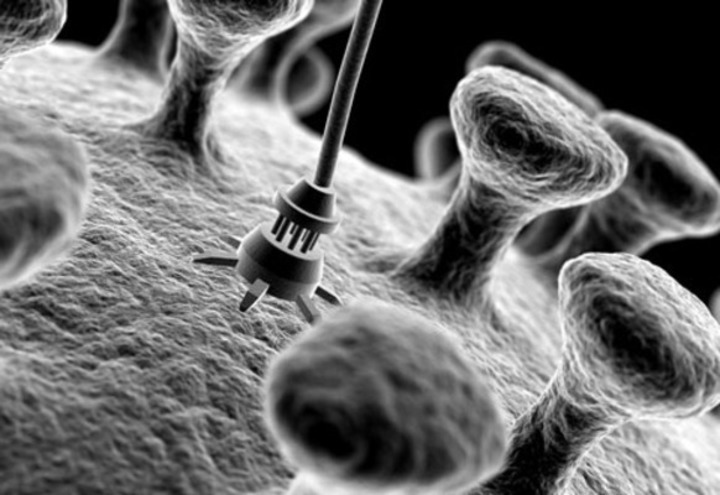 Černobílá fotografie zachycující život pod mikroskopem
