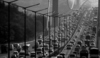 Černobílá fotografie zobrazující ucpanou dálnici