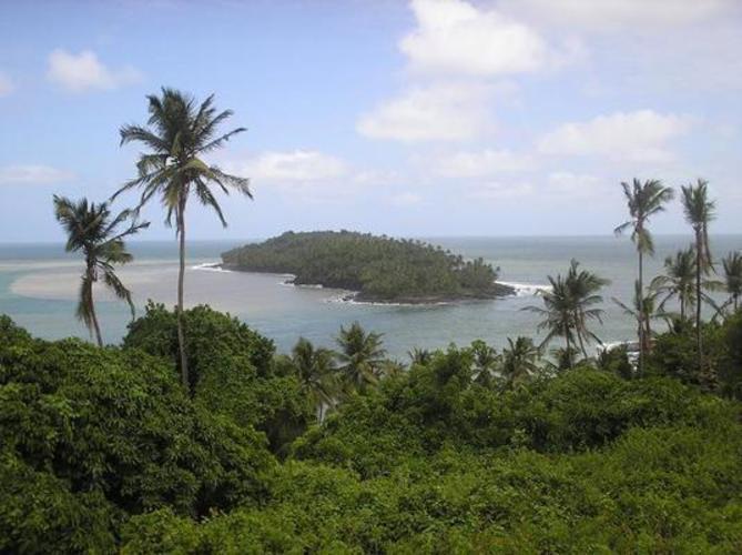 Fotografie zachycující pláž, moře a palmy