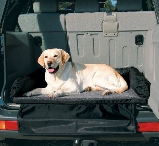 Pes v kufru osobního automobilu