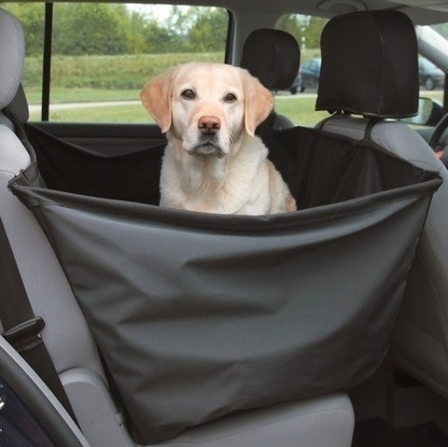 Pes v ochranném vaku na zadním sedadle osobního automobilu