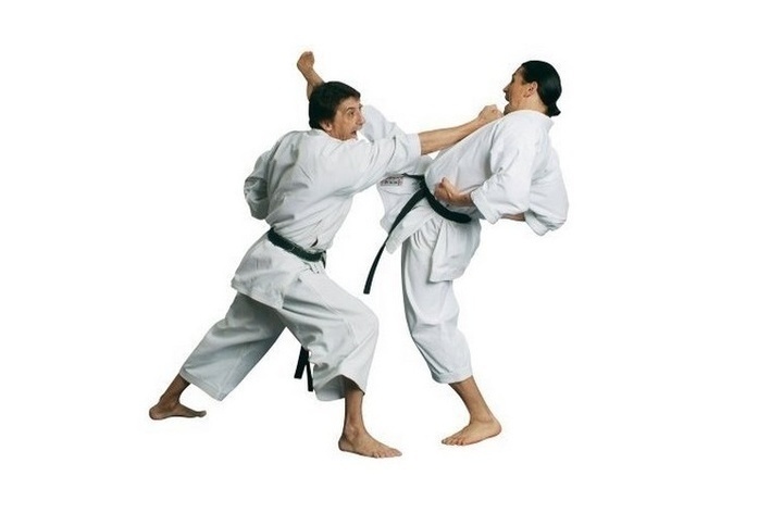 Dva muži při bojovém sportu