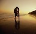 Fotografie muže a ženy na pláži při západu slunce