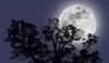 Fotografie měsíce na noční obloze