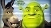 Obrázek Shreka a osla