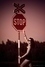 Jitka Válková v černých šatech stojí u značky s nápisem Stop
