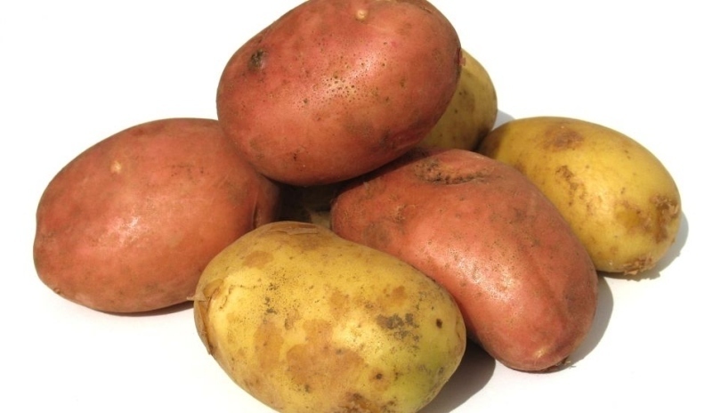 Fotografie brambor bílých a červených