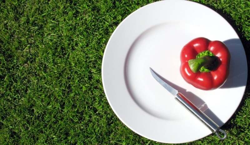 Fotografie papriky s nožem na talíři