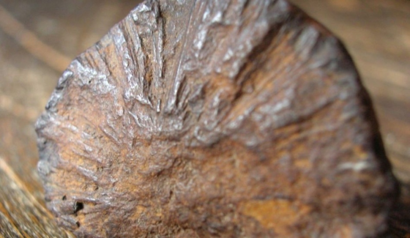 Snímek zobrazující meteorit