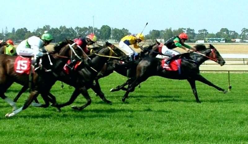 Snímek zobrazující koňské dostihy