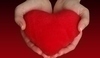 Fotografie červeného srdce v dlaních