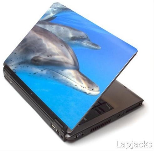 Notebook s delfíny