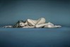 Modelka Miranda Kerr leží nahá na zemi