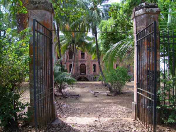 Obrázek otevřené brány s palmami a budovou v pozadí