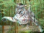 Obrázek tygra ve 3D