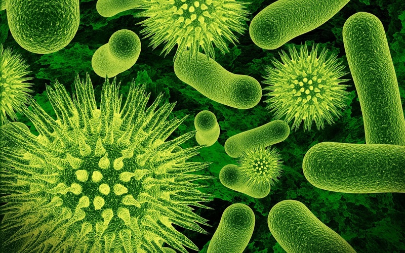 Snímek zobrazující bakterie