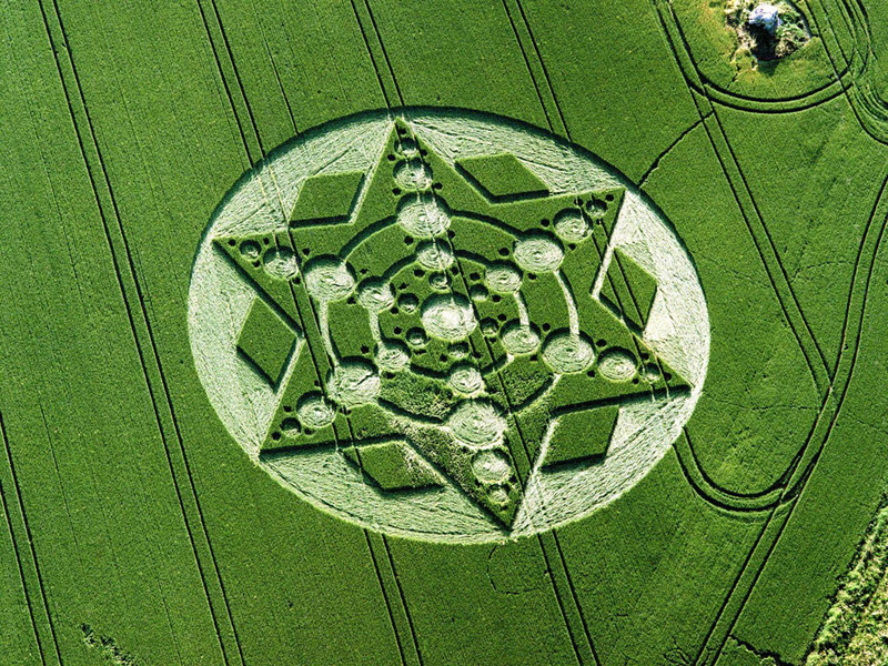 kruh v trávě